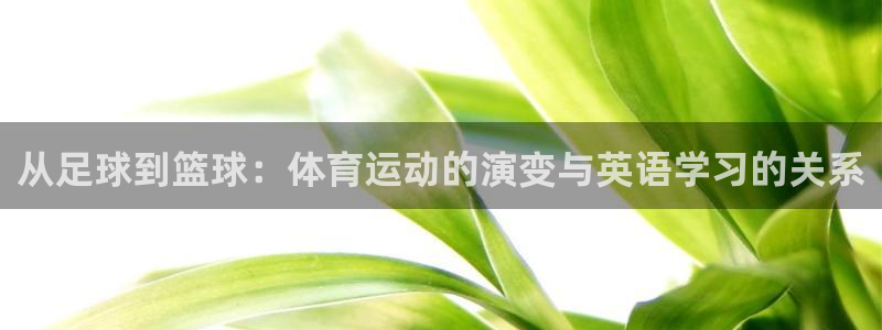 沐鸣2代理：从足球到篮球：体育运动的演变与英语学习的关系