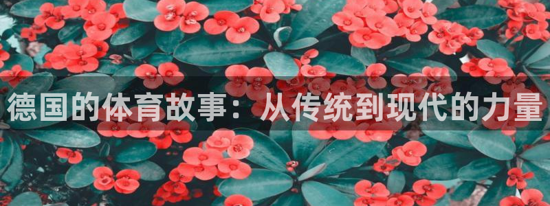 沐鸣体育凯捷平台代理：德国的体育故事：从传统到现代的力量