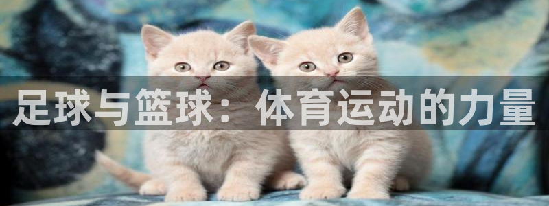 沐鸣3：足球与篮球：体育运动的力量