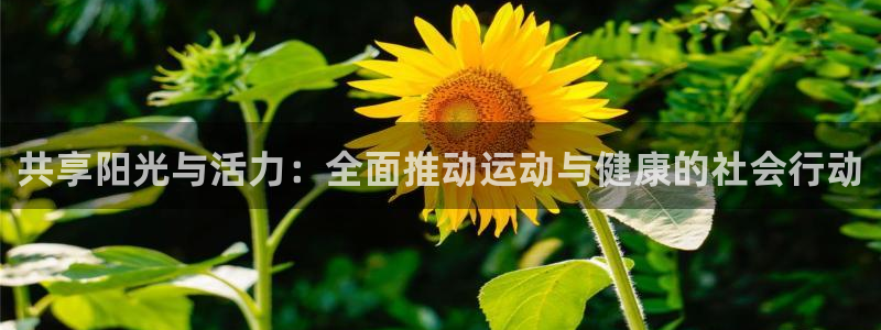 沐鸣2登录：共享阳光与活力：全面推动运动与健康的社会行动