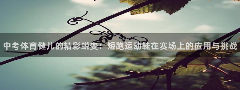 沐鸣官网：中考体育健儿的精彩蜕变：短跑运动鞋在赛场上的应用与挑战