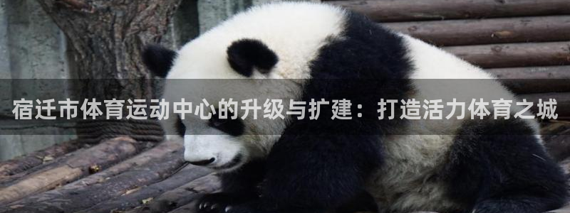 沐鸣体育官网注册：宿迁市体育运动中心的升级与扩建：打造活力体育之城