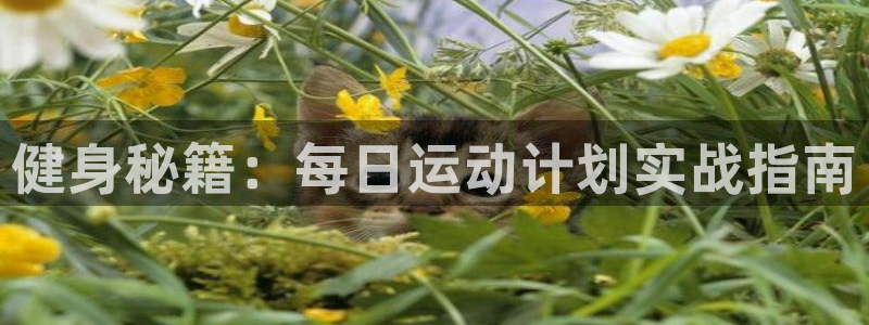 沐鸣体育注册：健身秘籍：每日运动计划实战指南