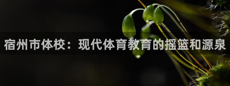沐鸣娱乐：宿州市体校：现代体育教育的摇篮和源泉