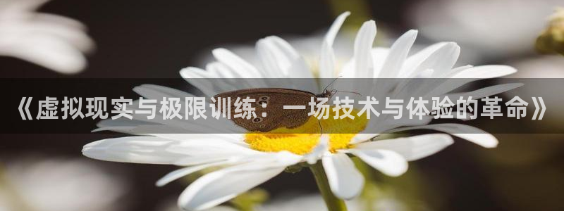 沐鸣体育凯捷平台主管：《虚拟现实与极限训练：一场技术与体验的革命》