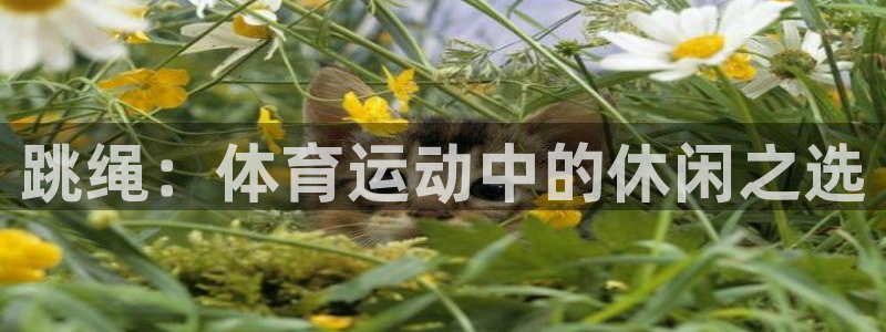 沐鸣体育官网：跳绳：体育运动中的休闲之选