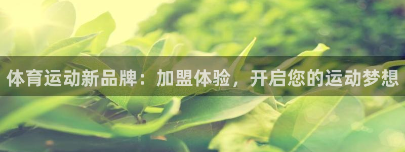 沐鸣2平台：体育运动新品牌：加盟体验，开启您的运动梦想