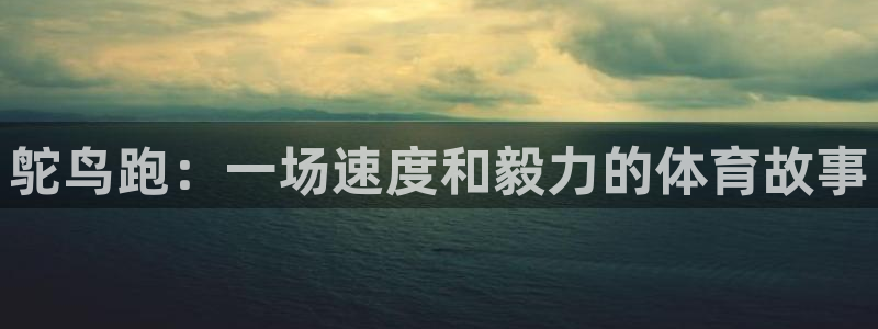 沐鸣体育游戏：鸵鸟跑：一场速度和毅力的体育故事