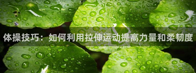 沐鸣官网：体操技巧：如何利用拉伸运动提高力量和柔韧度