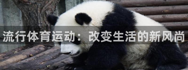 上海沐鸣汽车电子有限公司：流行体育运动：改变生活的新风尚