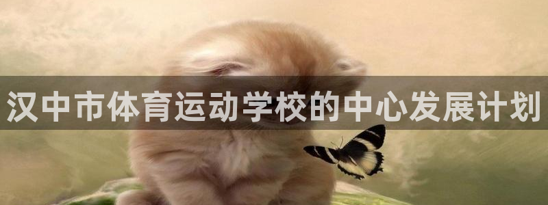沐鸣3平台登录注册：汉中市体育运动学校的中心发展计划