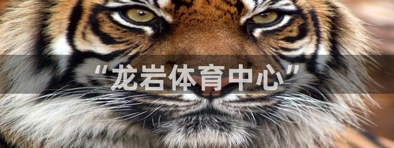 沐鸣凯捷注册：“龙岩体育中心”