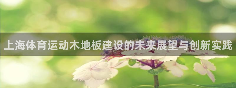 沐鸣包怎么样：上海体育运动木地板建设的未来展望与创新实践