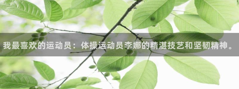 沐鸣2注册：我最喜欢的运动员：体操运动员李娜的精湛技艺和坚韧精神。