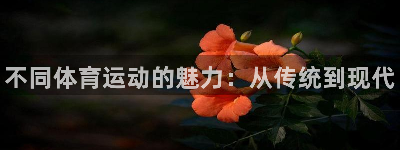 沐鸣体育官网：不同体育运动的魅力：从传统到现代