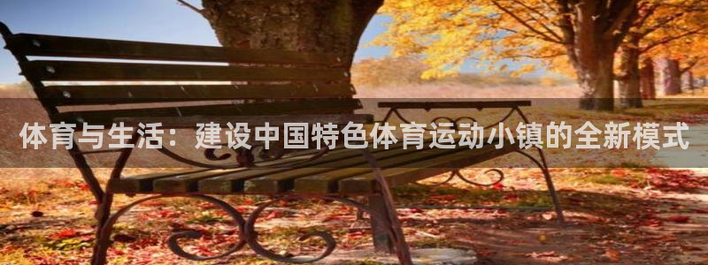 www.沐鸣体育.com：体育与生活：建设中国特色体育运动小镇的全新模式