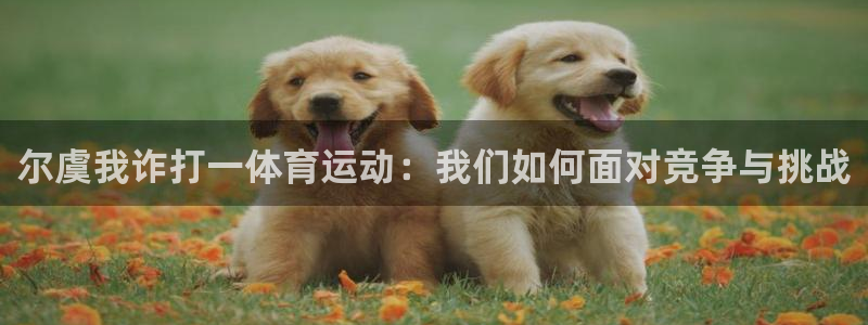 沐鸣平台登录：尔虞我诈打一体育运动：我们如何面对竞争与挑战