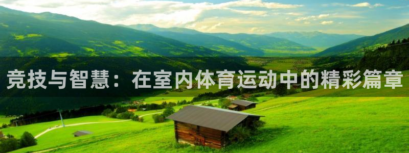 东莞市沐鸣电子科技有限公司：竞技与智慧：在室内体育运动中的精彩篇章