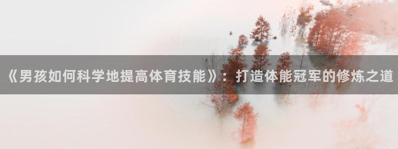 沐鸣体育代理申请流程：《男孩如何科学地提高体育技能》：打造体能冠军的修炼之道